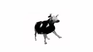 Cypis - Gdzie jest biały węgorz ? (Польская корова!)
