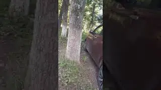 Влог с улицы