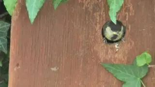 Leaving the Box.