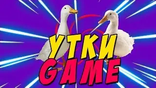 Утки Game
