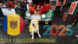 🍇🇲🇩 WINE DAY / Wine day 2025 / Wine Day Republic of Moldova
