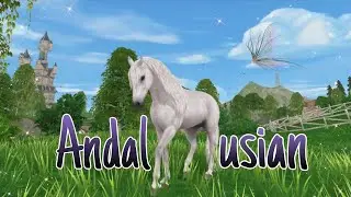 Buying New Andalusians | Star Stable Online 