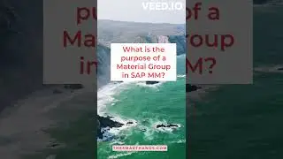 #22  What is the purpose of a Material Group in SAP MM?