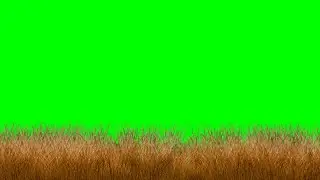 Copyright Free animated grass Green Screen Effect Chroma KeyRoyalty Free grass moving no copyright