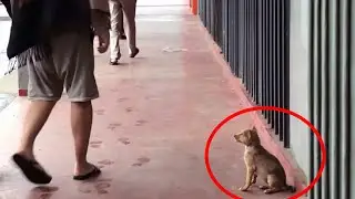 The hungry kid ran after people and asked for help, but no one noticed him!
