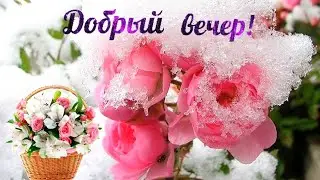 ДОБРЫЙ ВЕЧЕР 🤗❤️ ШИКАРНАЯ НОВИНКА!