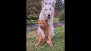 Yıllar Sonra Yeniden Aynı Poz Verilirse Ne Olur