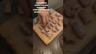 delicious homemade treats for pets 