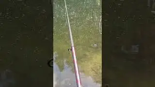 #мечта