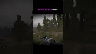 ИМБОВЫЙ АК-12 