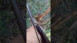 Olha quem veio no pé de oxi.