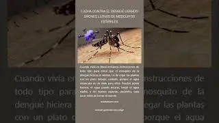 Noticias 169 - #capa #invisibilidad #saltamontes #argentina #dengue #contagios #lucha #drones