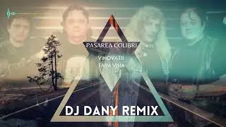 Pasarea Colibri - Vinovatii fara vina | DJ DANY REMIX