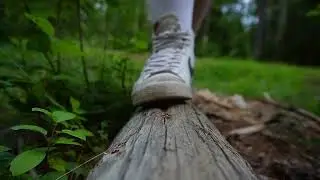 Rule Your Mind or it Will Rule You Sony ZV E10