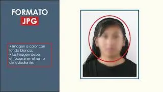Carne Universitario - SUNEDU