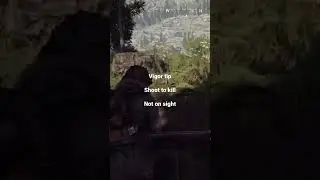 Vigor tips don’t shoot on sight 