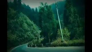 Ride in the mountains of Darjeeling ❤️❤️