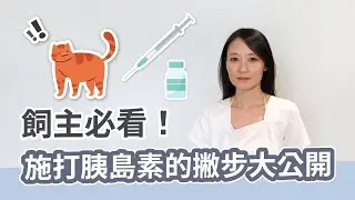 【飼主必看！施打胰島素撇步大公開】