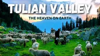 Tulian Valley - The Heaven on Earth!  | BUDGET TRIP TO KASHMIR FROM LPU | PART-6 | MALAYALAM