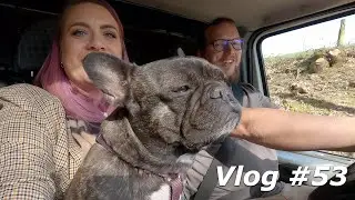 Vlog #53 - Die klassische Woche: Räumen, Papierkrieg, Tierarzt, Pakete & Blödsinn | The Smithfields