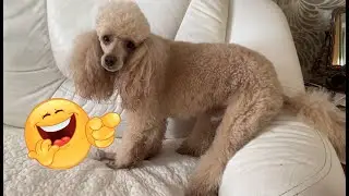 А мне так удобно! 😂