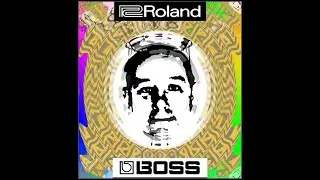 Roland Boss 1990s Sdrawkab Reverse Delay