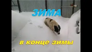 Ни кто не шутит с природой.Зима в конце зимы,или небольшой армагедон.