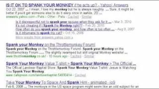Caring for your new pet monkey