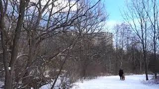 Black Creek in Winter