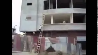 ПРиколы 2016
