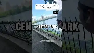 Marathon training day 3: recovery run