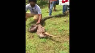 Йа Аллах! Боьхумо Дийриг Хьовсийш😱😱
