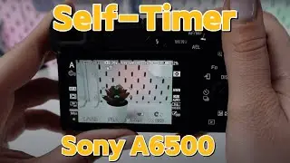 Sony A6500: How to Activate the Self-Timer