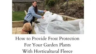 Flower Seedling And  Plant Protection From Frosts In Winter And Spring