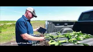 QuickRootsⓇ Technology Pairs with Monsanto’s Portfolio For A More Informed Growing Season