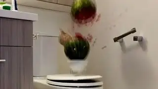 @Steak explodes a watermelon🍉😱😱😱 (clip)