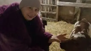 Как дела у Пряника Обидела Дусю