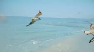 Море-морюшко
