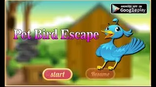 Avm Pet Bird Escape Walkthrough [AvmGames]