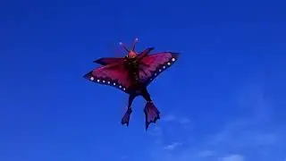 Махалет краснокрыл