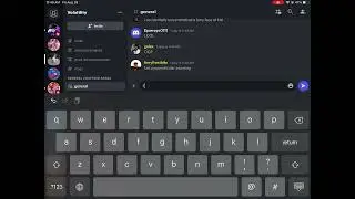 Discord  bug how to fix?