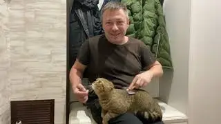 МИТЯ с ПАПОЙ чешутся и удаляют грубиянов!
