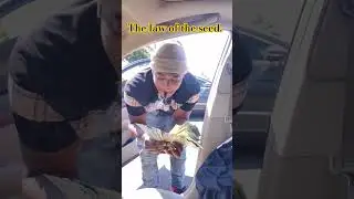 The law of the seed 