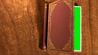 best booking green screen 2020
