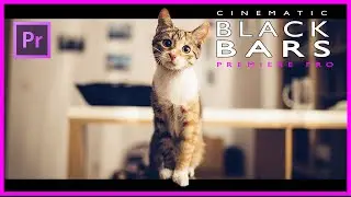 How to add cinematic black bars to videos in premiere pro cc | Cinematic Black Bars