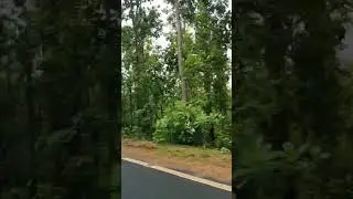 #youtubeshorts #shorts #viralreels #ytshorts#prokriti #nature  #anurakshit9736