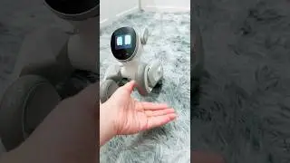 Loona robot running 