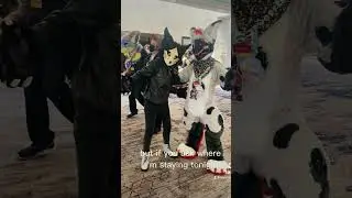 #fur