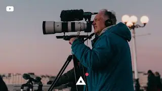 BIRDS DANCING | Cinematic - Alpha SONY 6500