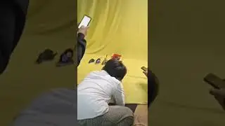 ikut yang lagi viral